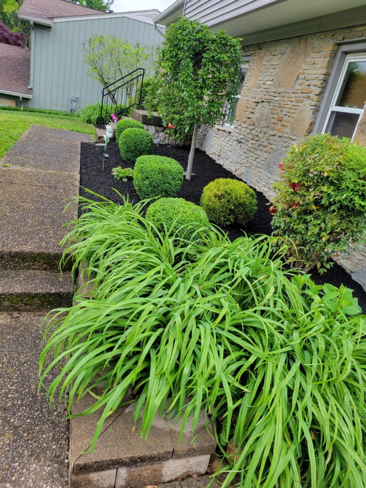 Alberto Alavez Professional Lawn Services LLC 17 by Alberto Alavez Professional Lawn Services LLC - Photo 20