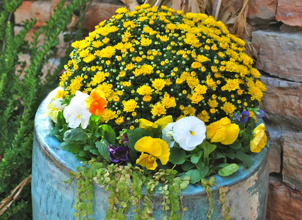 Fall Container Gardens by Adorn - Photo 33