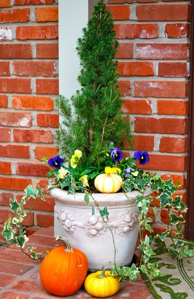 Fall Container Gardens by Adorn - Photo 13