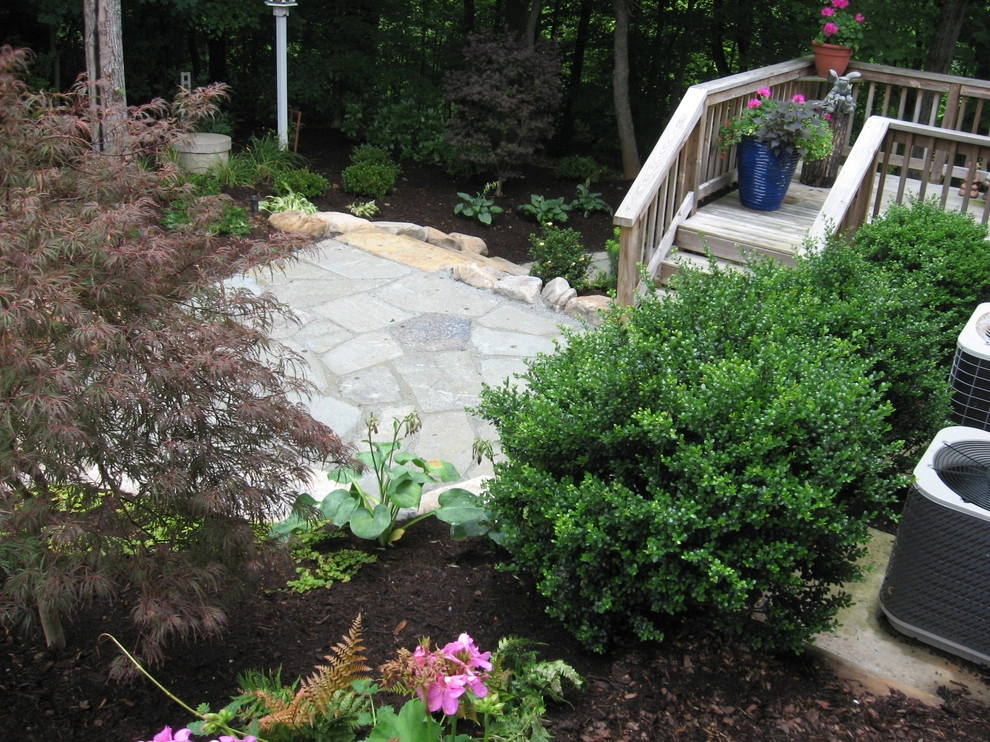 Summerfield Backyard Patio and Plantings by Hawkins Landscape Architecture/TriadGarden - Photo 8