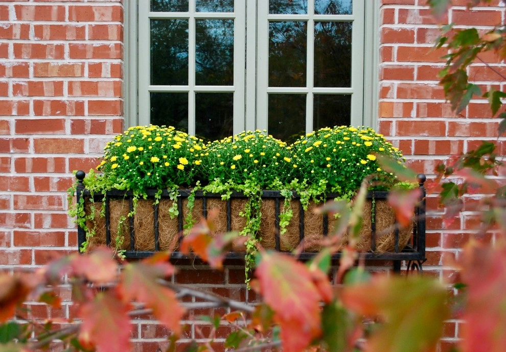 Fall Container Gardens by Adorn - Photo 45