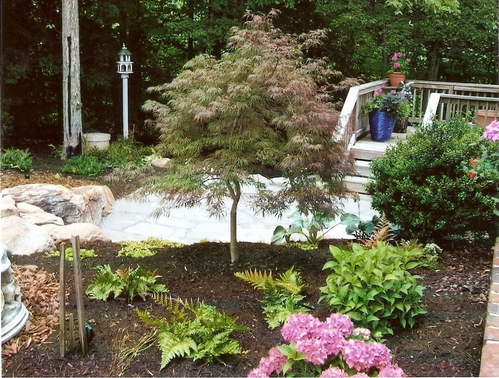 Summerfield Backyard Patio and Plantings by Hawkins Landscape Architecture/TriadGarden - Photo 3