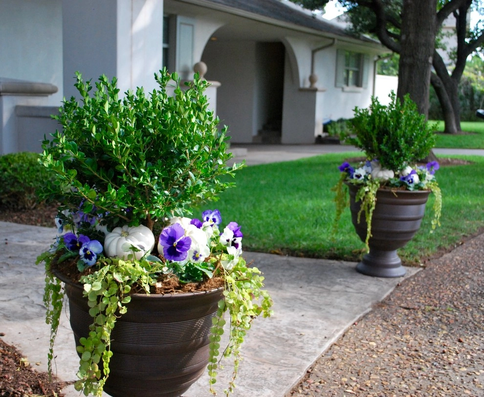 Fall Container Gardens by Adorn - Photo 25