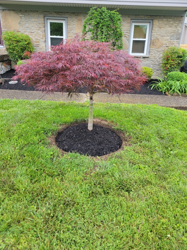 Alberto Alavez Professional Lawn Services LLC 17 by Alberto Alavez Professional Lawn Services LLC - Photo 22