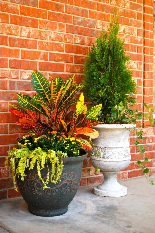 Fall Container Gardens by Adorn - Photo 5