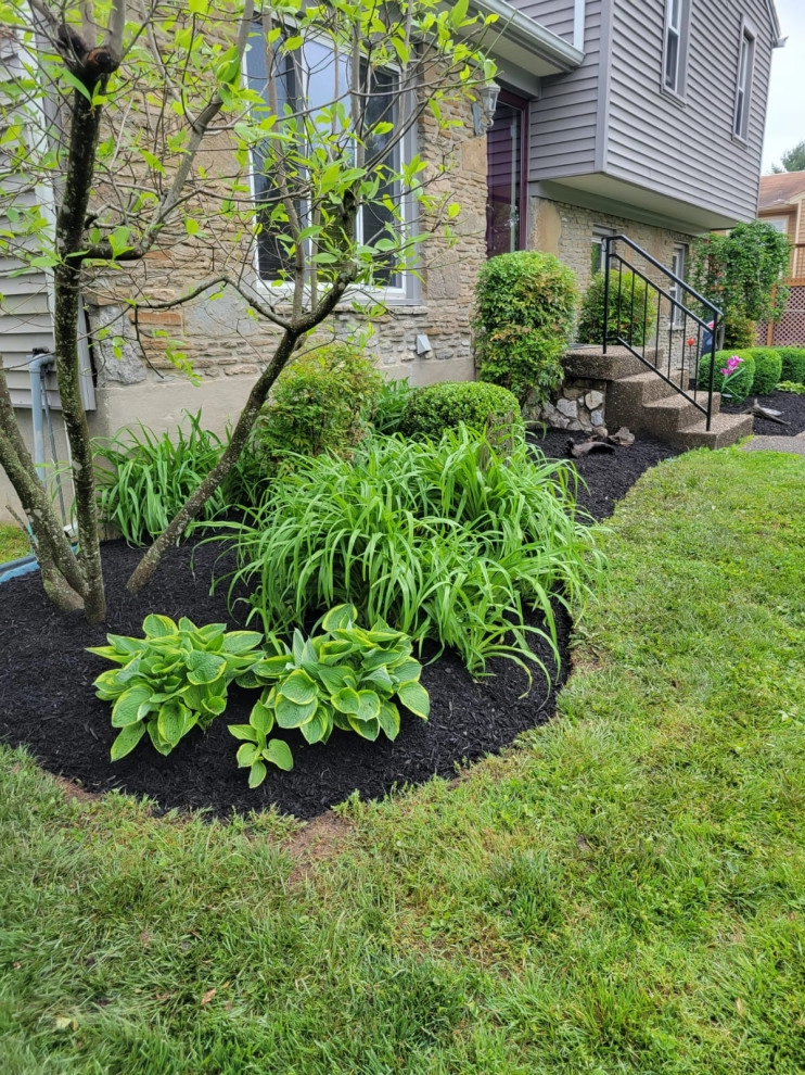 Alberto Alavez Professional Lawn Services LLC 17 by Alberto Alavez Professional Lawn Services LLC - Photo 12