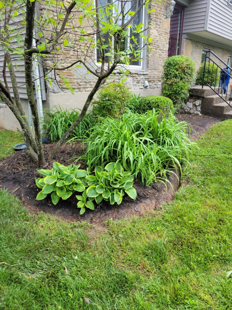 Alberto Alavez Professional Lawn Services LLC 17 by Alberto Alavez Professional Lawn Services LLC - Photo 16