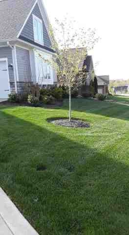 Alberto Alavez Professional Lawn Services LLC 5 by Alberto Alavez Professional Lawn Services LLC - Photo 14
