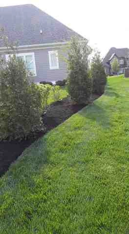 Alberto Alavez Professional Lawn Services LLC 5 by Alberto Alavez Professional Lawn Services LLC - Photo 63