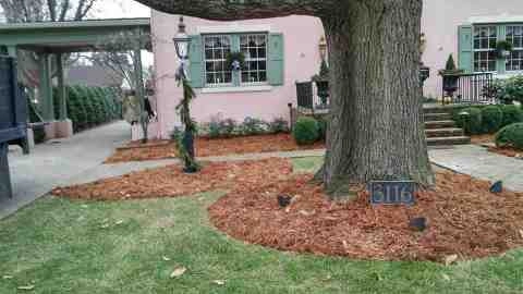 Alberto Alavez Professional Lawn Services LLC 5 by Alberto Alavez Professional Lawn Services LLC - Photo 55