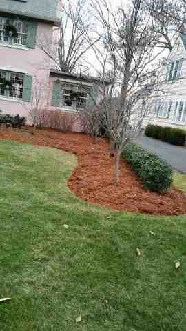 Alberto Alavez Professional Lawn Services LLC 5 by Alberto Alavez Professional Lawn Services LLC - Photo 11