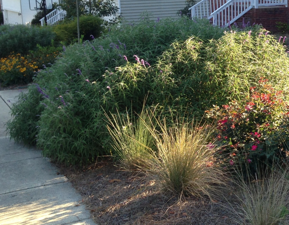 Perennial Planting by Aedan Workshop - Photo 4