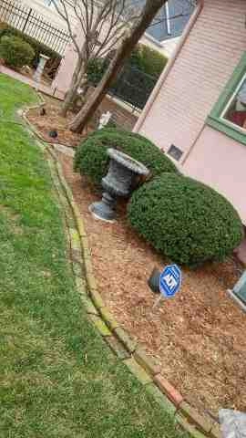 Alberto Alavez Professional Lawn Services LLC 5 by Alberto Alavez Professional Lawn Services LLC - Photo 80