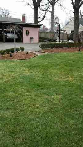 Alberto Alavez Professional Lawn Services LLC 5 by Alberto Alavez Professional Lawn Services LLC - Photo 68