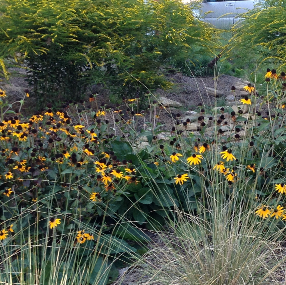 Perennial Planting by Aedan Workshop - Photo 5