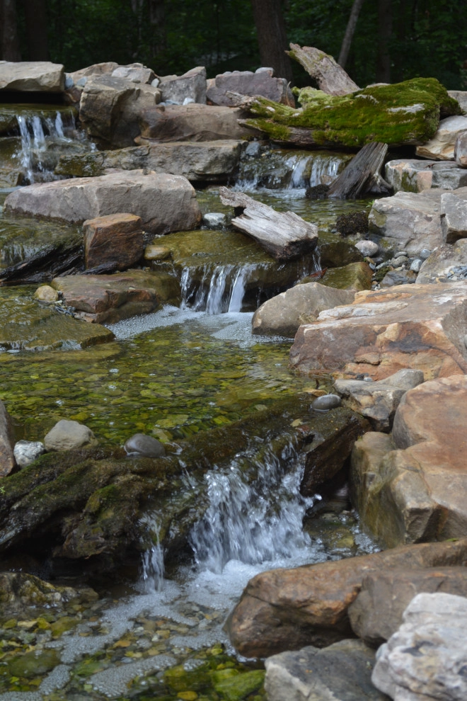 Mallory Oasis by Hay Hill Services - Photo 2