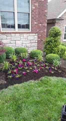 Alberto Alavez Professional Lawn Services LLC 5 by Alberto Alavez Professional Lawn Services LLC - Photo 60