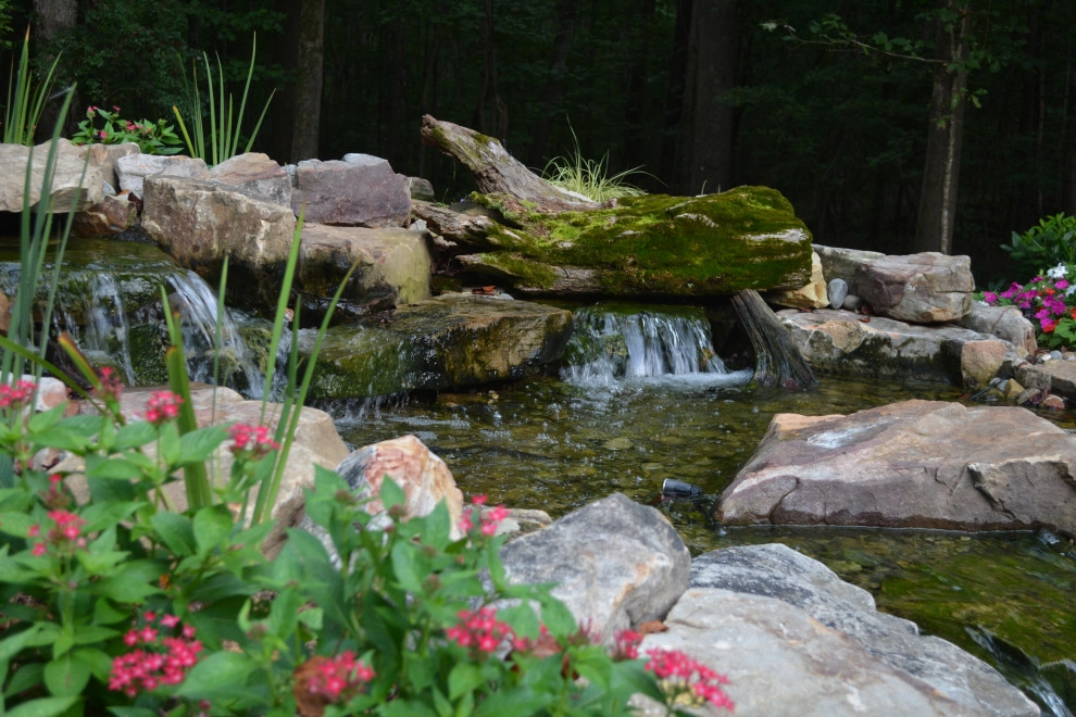 Mallory Oasis by Hay Hill Services - Photo 9
