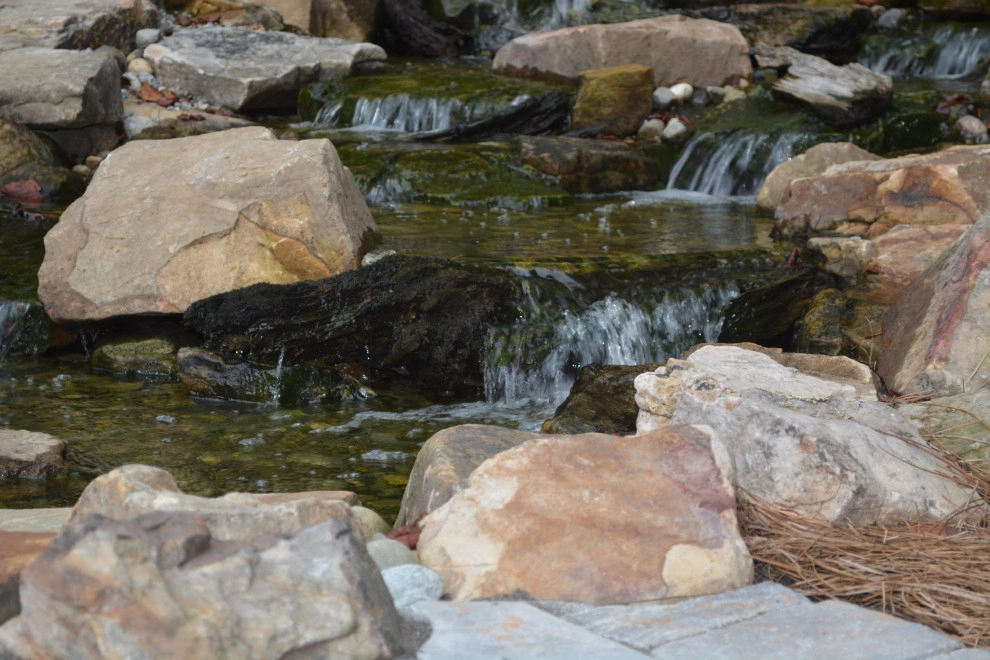 Mallory Oasis by Hay Hill Services - Photo 16