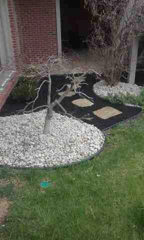 Alberto Alavez Professional Lawn Services LLC 5 by Alberto Alavez Professional Lawn Services LLC - Photo 99