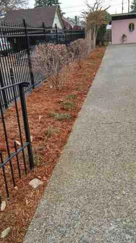 Alberto Alavez Professional Lawn Services LLC 5 by Alberto Alavez Professional Lawn Services LLC - Photo 70