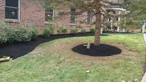 Alberto Alavez Professional Lawn Services LLC 5 by Alberto Alavez Professional Lawn Services LLC - Photo 42