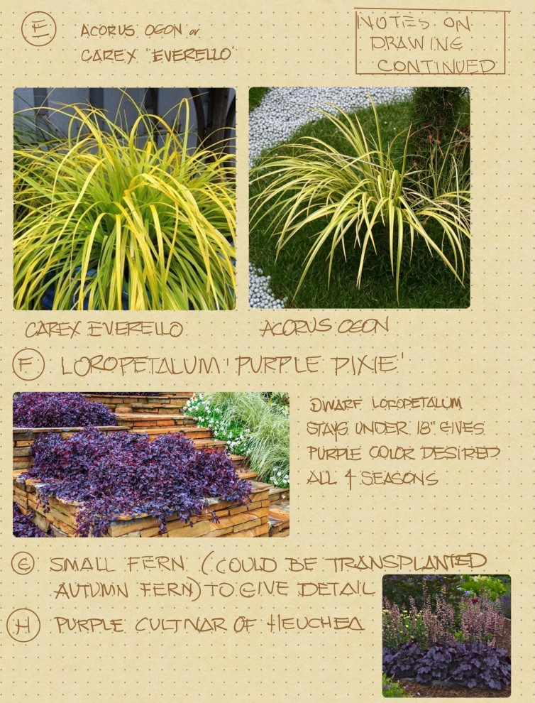 Heather Moll-Dunn Landscape And Garden Design - Photo 2