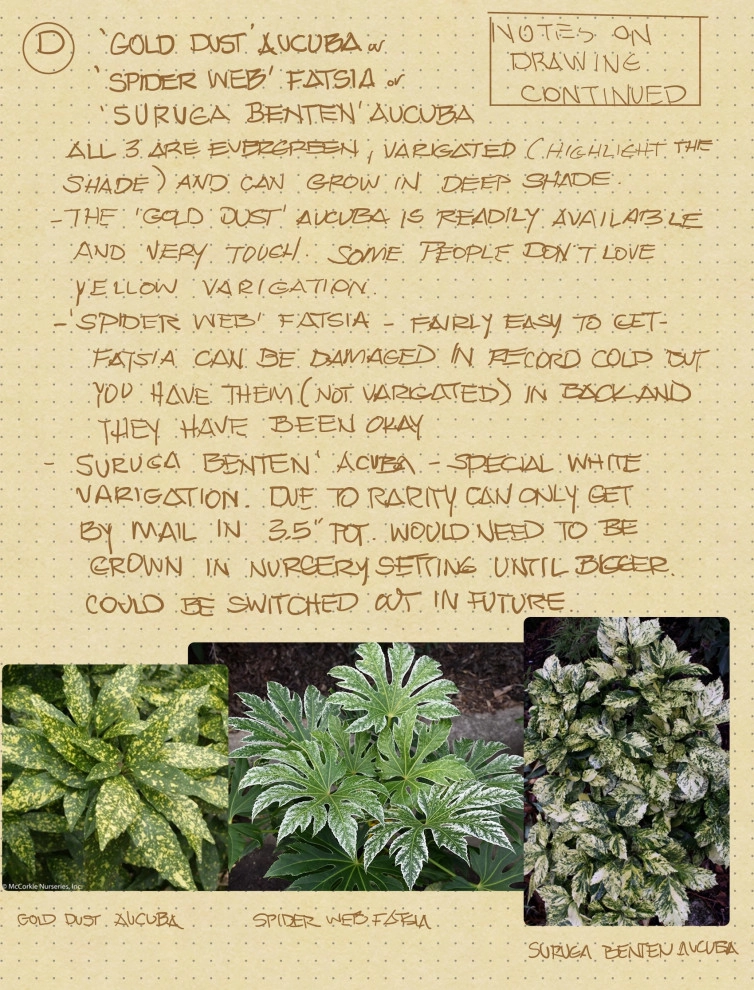 example consultation notes and sketches from an on-site meeting with additional by Heather Moll-Dunn Landscape And Garden Design - Photo 5