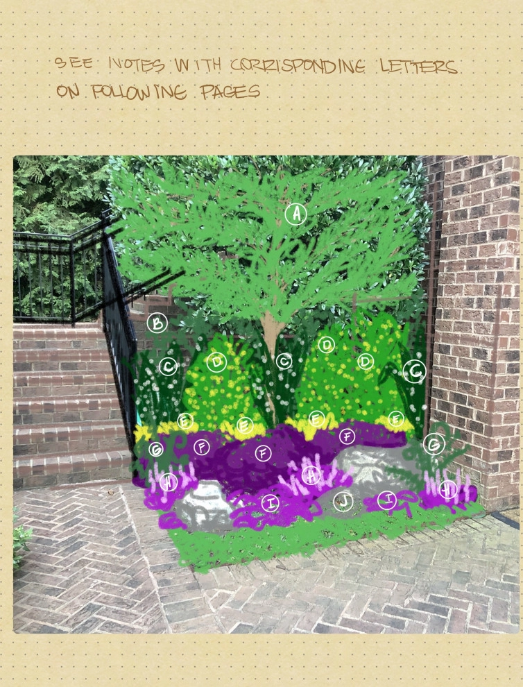 example consultation notes and sketches from an on-site meeting with additional by Heather Moll-Dunn Landscape And Garden Design - Photo 3