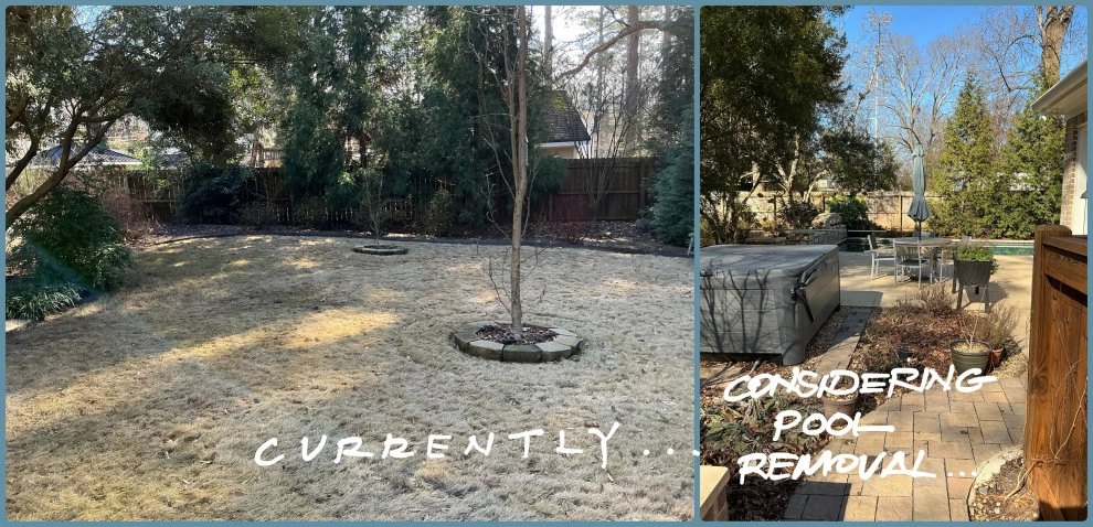 homeowners considering removing pool by Heather Moll-Dunn Landscape And Garden Design - Photo 3