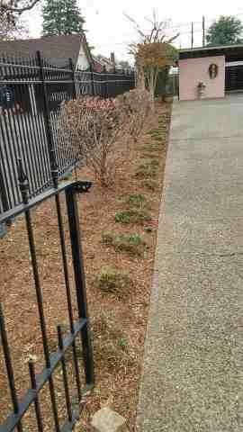 Alberto Alavez Professional Lawn Services LLC 5 by Alberto Alavez Professional Lawn Services LLC - Photo 16