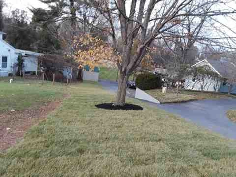 Alberto Alavez Professional Lawn Services LLC 5 by Alberto Alavez Professional Lawn Services LLC - Photo 37