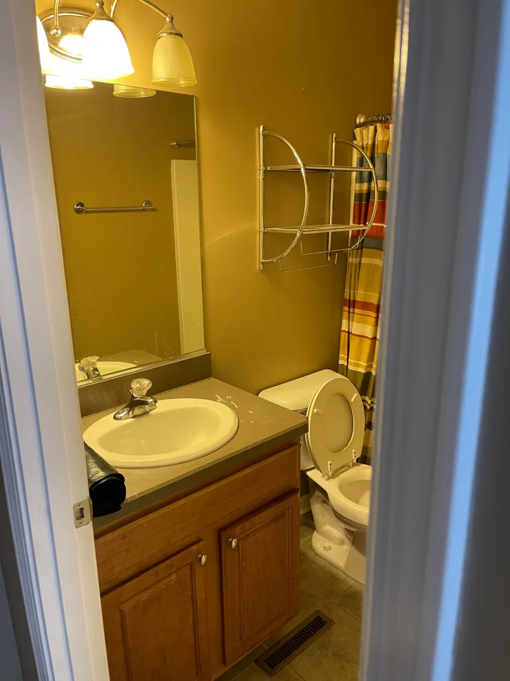 Peotone, IL Bathroom Renovation by Mather Construction LLC - Photo 3