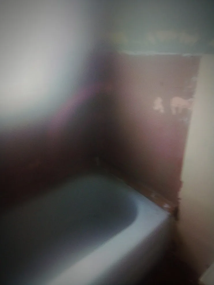 Higgs Homes - Photo 13