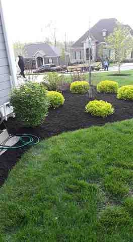 Alberto Alavez Professional Lawn Services LLC 5 by Alberto Alavez Professional Lawn Services LLC - Photo 49