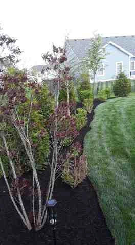 Alberto Alavez Professional Lawn Services LLC 5 by Alberto Alavez Professional Lawn Services LLC - Photo 79