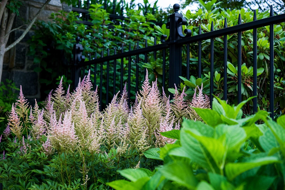 Bryn Mawr Residence by Hess Landscape Architects - Photo 14