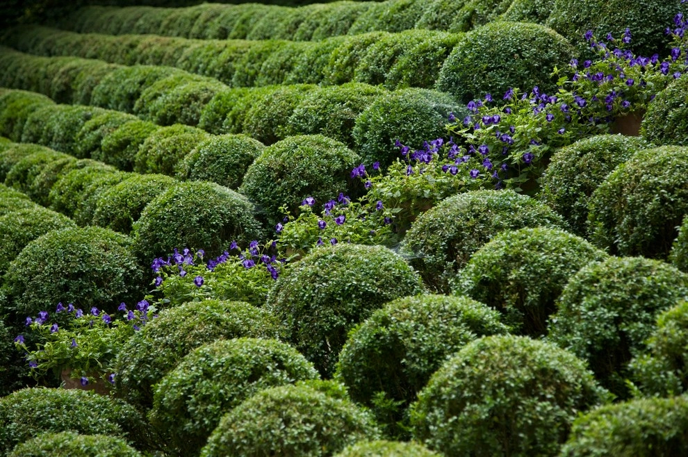 Chestnut Hill by Hess Landscape Architects - Photo 10