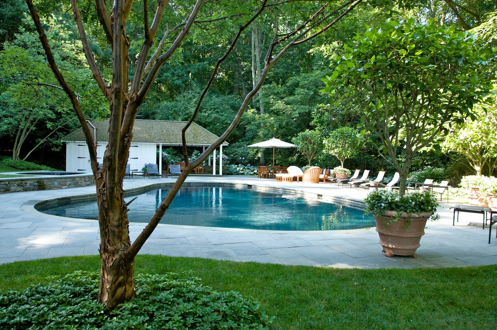 Chestnut Hill by Hess Landscape Architects - Photo 6