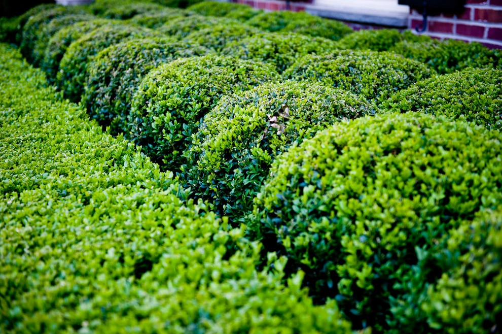 Snoop's Garden by Hess Landscape Architects - Photo 4