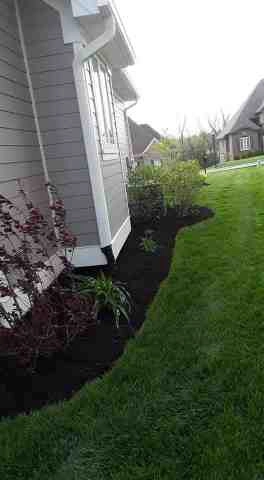 Alberto Alavez Professional Lawn Services LLC 5 by Alberto Alavez Professional Lawn Services LLC - Photo 17