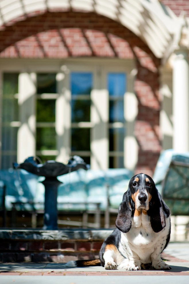 Snoop's Garden by Hess Landscape Architects - Photo 3