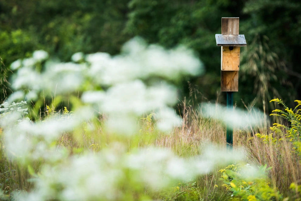 Jack's Pond by Hess Landscape Architects - Photo 17