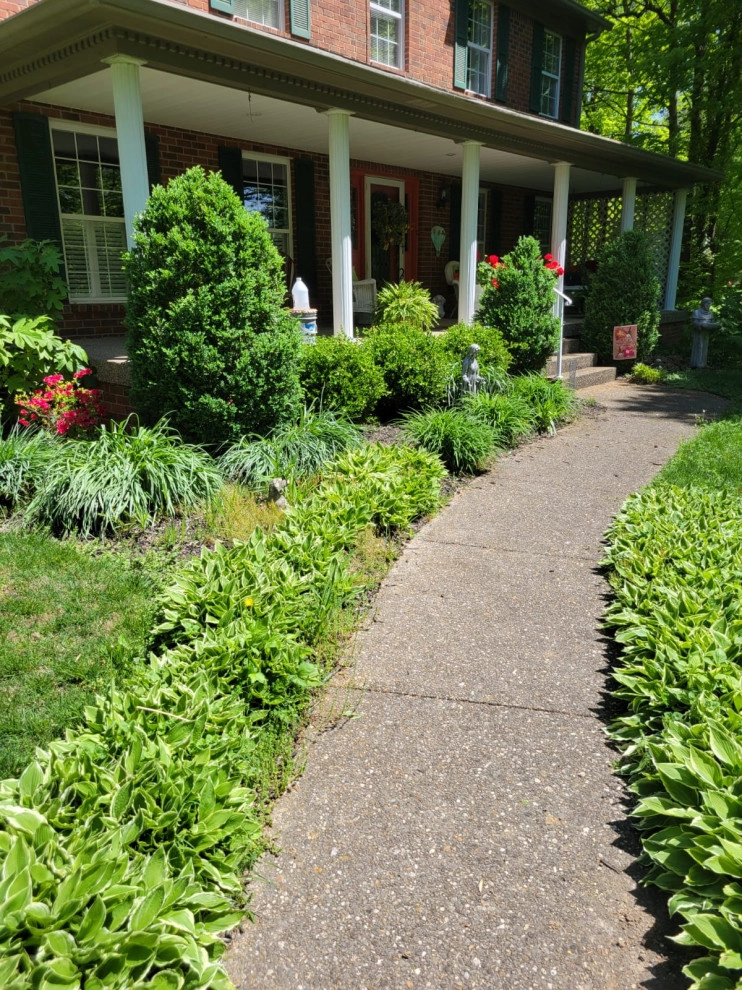 Alberto Alavez Professional Lawn Services LLC 16 by Alberto Alavez Professional Lawn Services LLC - Photo 9
