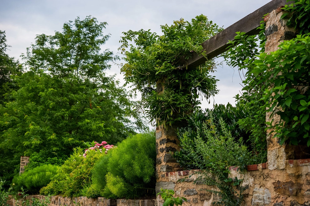 Hess Landscape Architects - Photo 11