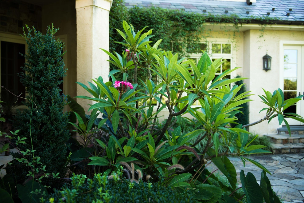 Shaded Refuge by Hess Landscape Architects - Photo 3