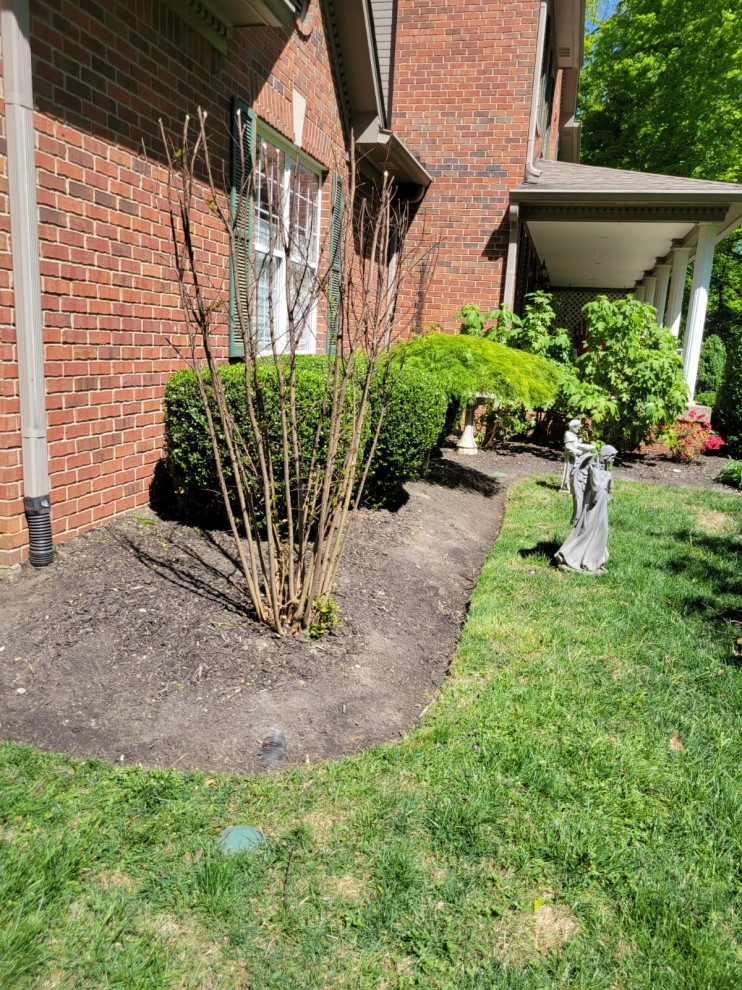 Alberto Alavez Professional Lawn Services LLC 16 by Alberto Alavez Professional Lawn Services LLC - Photo 7