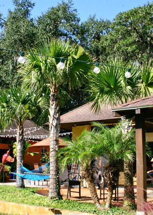 Hickory Creek Nursery - Photo 14