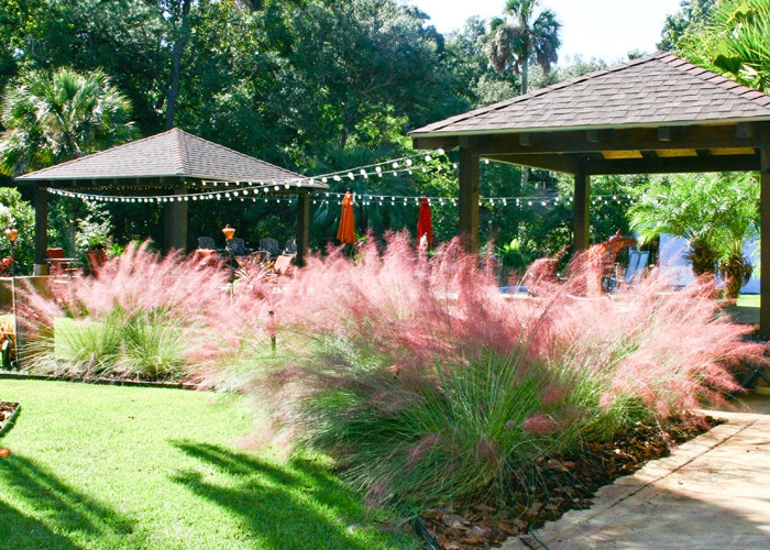 Hickory Creek Nursery - Photo 3