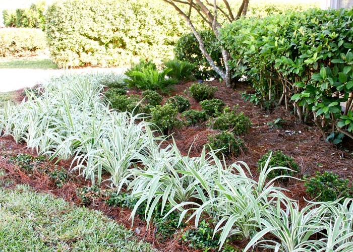 Hickory Creek Nursery - Photo 12